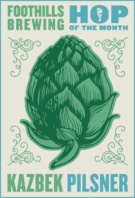 Hop Of The Month: Kazbek Pilsner