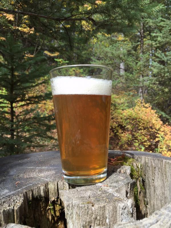 Bonanza Dry Hopped Golden Ale