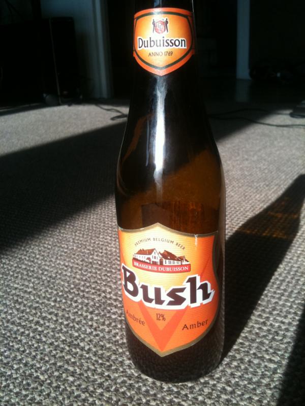 Bush Ambrée