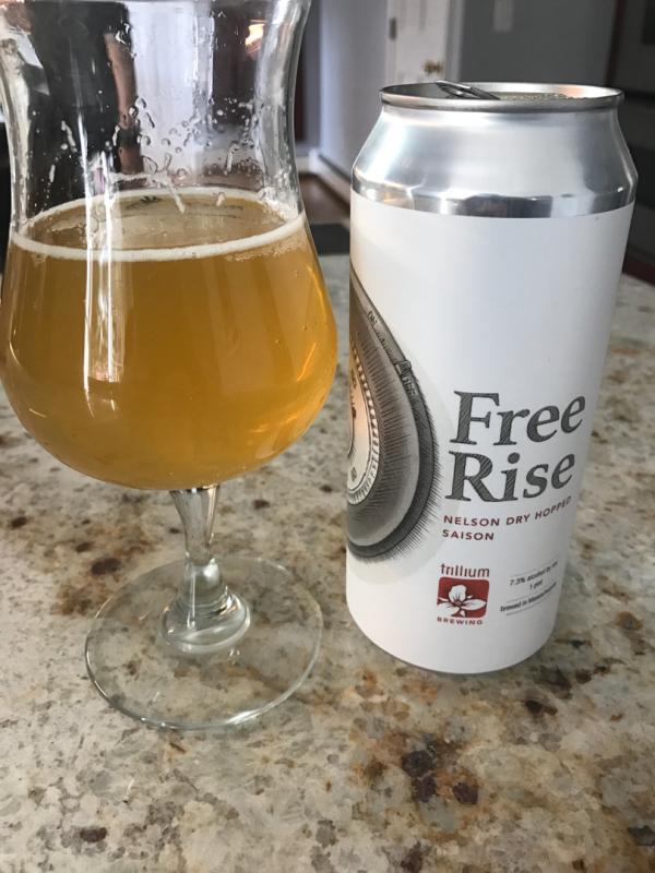 Free Rise - Nelson Dry Hopped