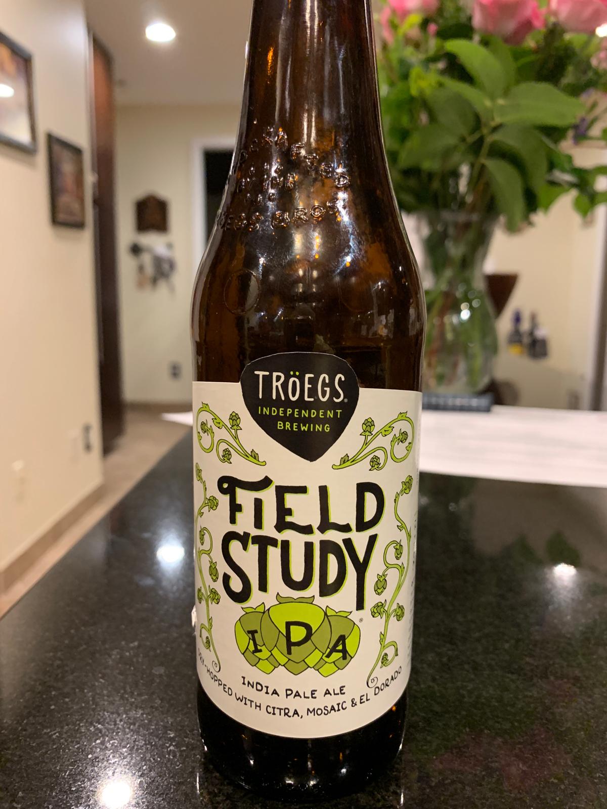 Field Study IPA 