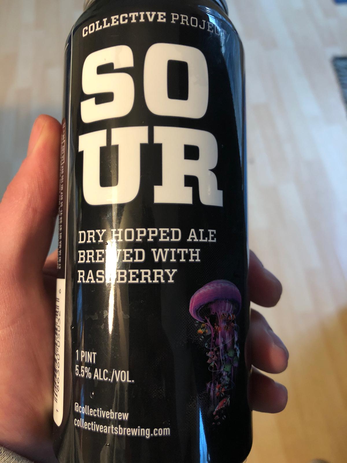 Collective Project: Sour Raspberry Dry-Hopped