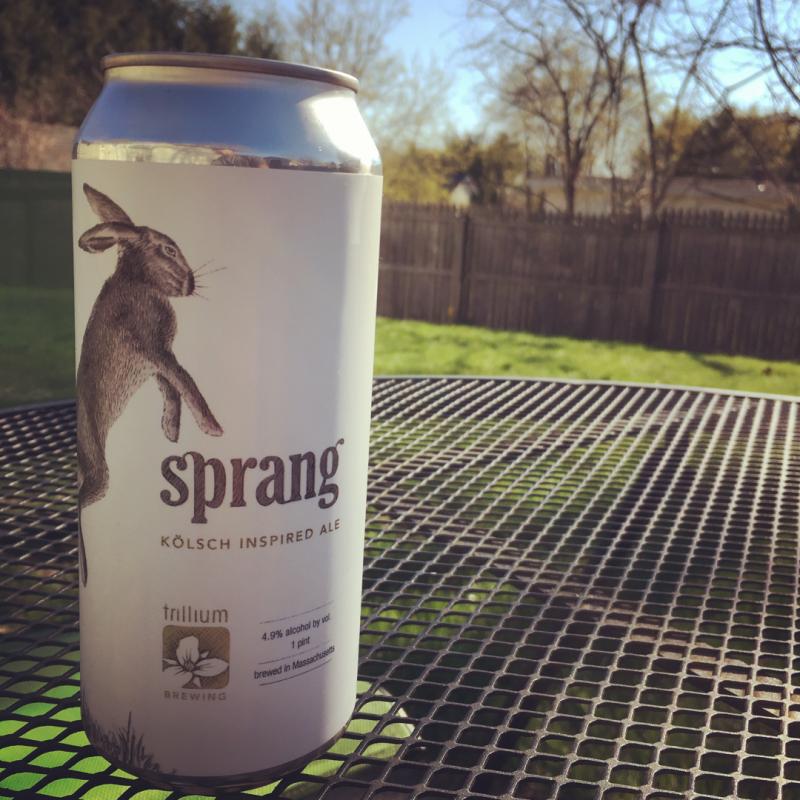 Sprang