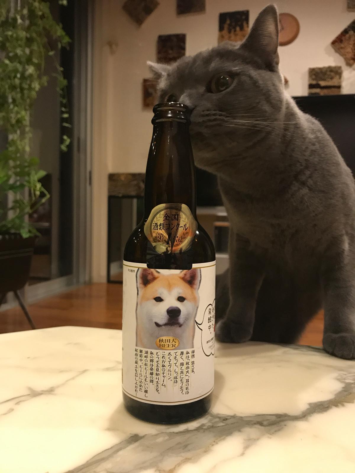 Akitakomachi Lager