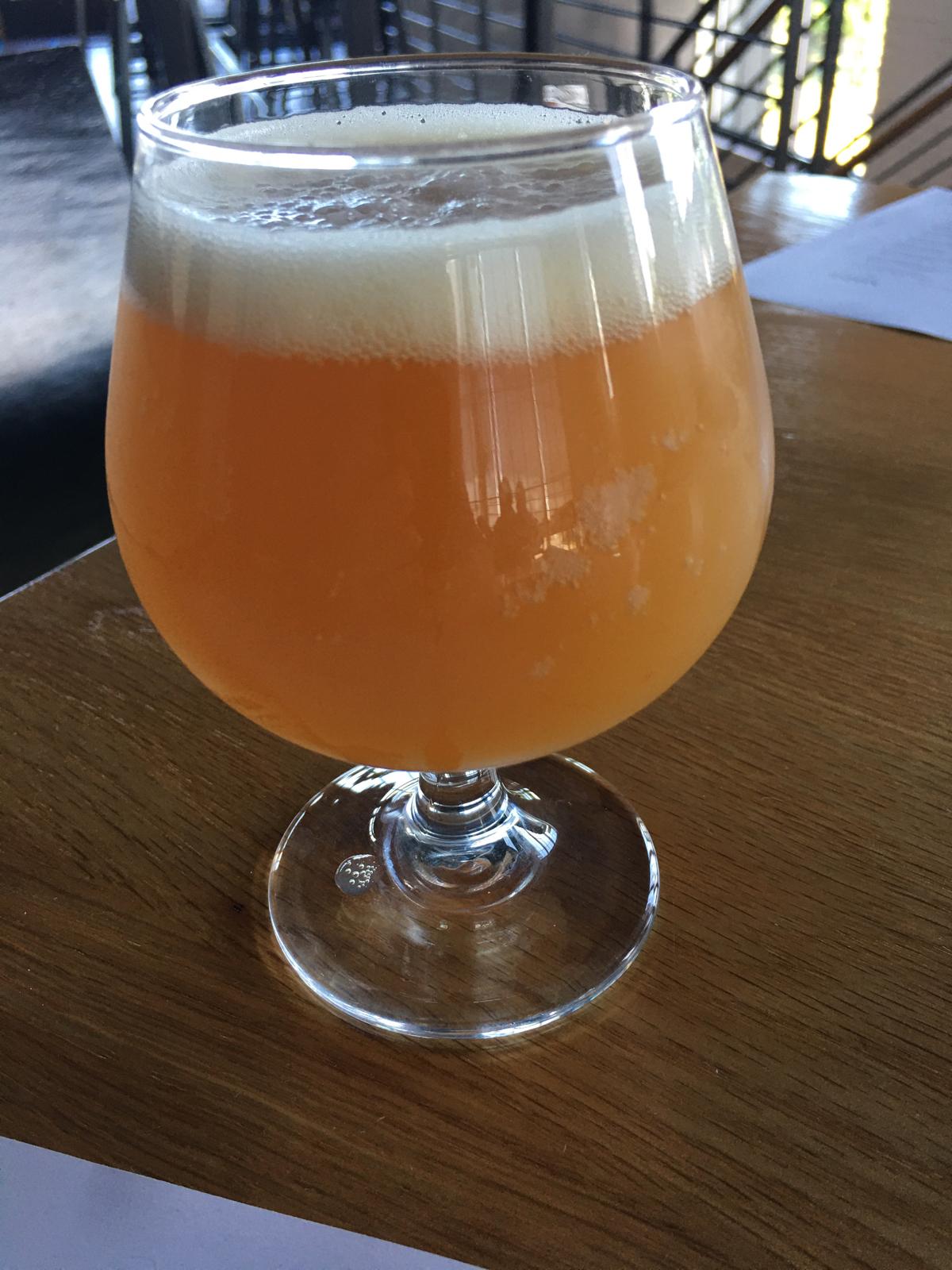 Shut Em Down Open Up Hop