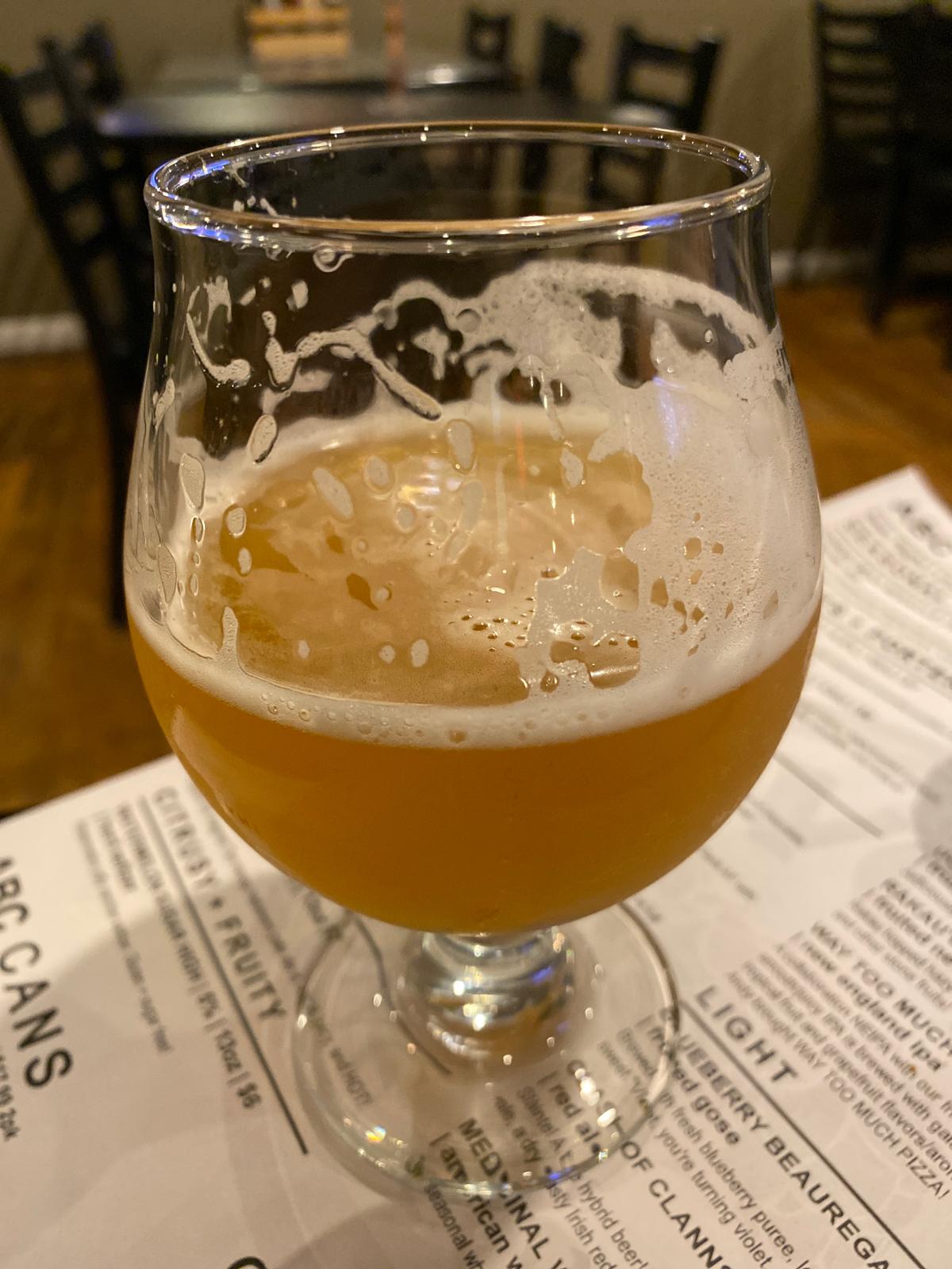 Way Too Much Pizza (Collaboration with Terrestrial Brewing Company)