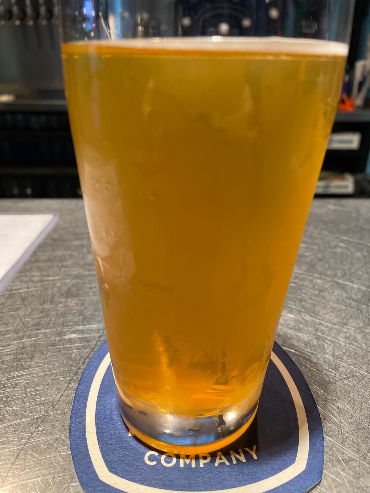 Dog Will Hunt (Collaboration with 2SP Brewing Co.)