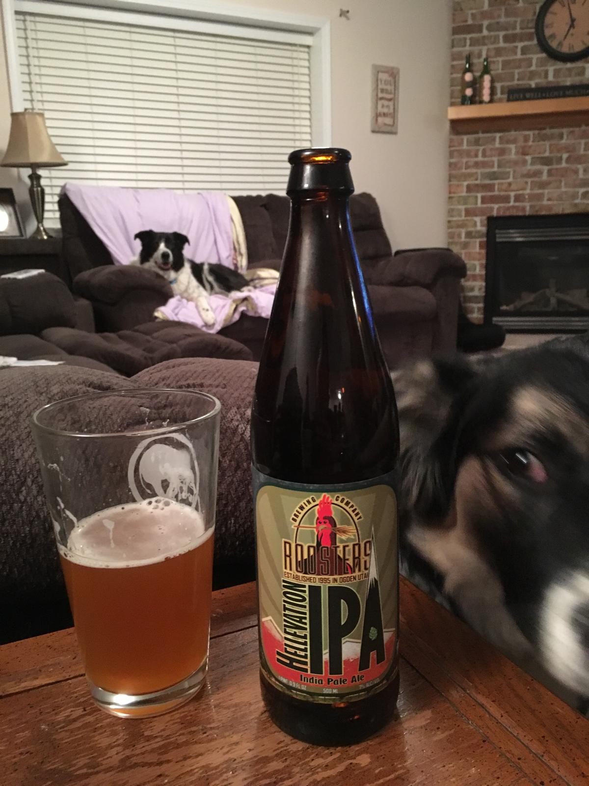 Hellevation IPA