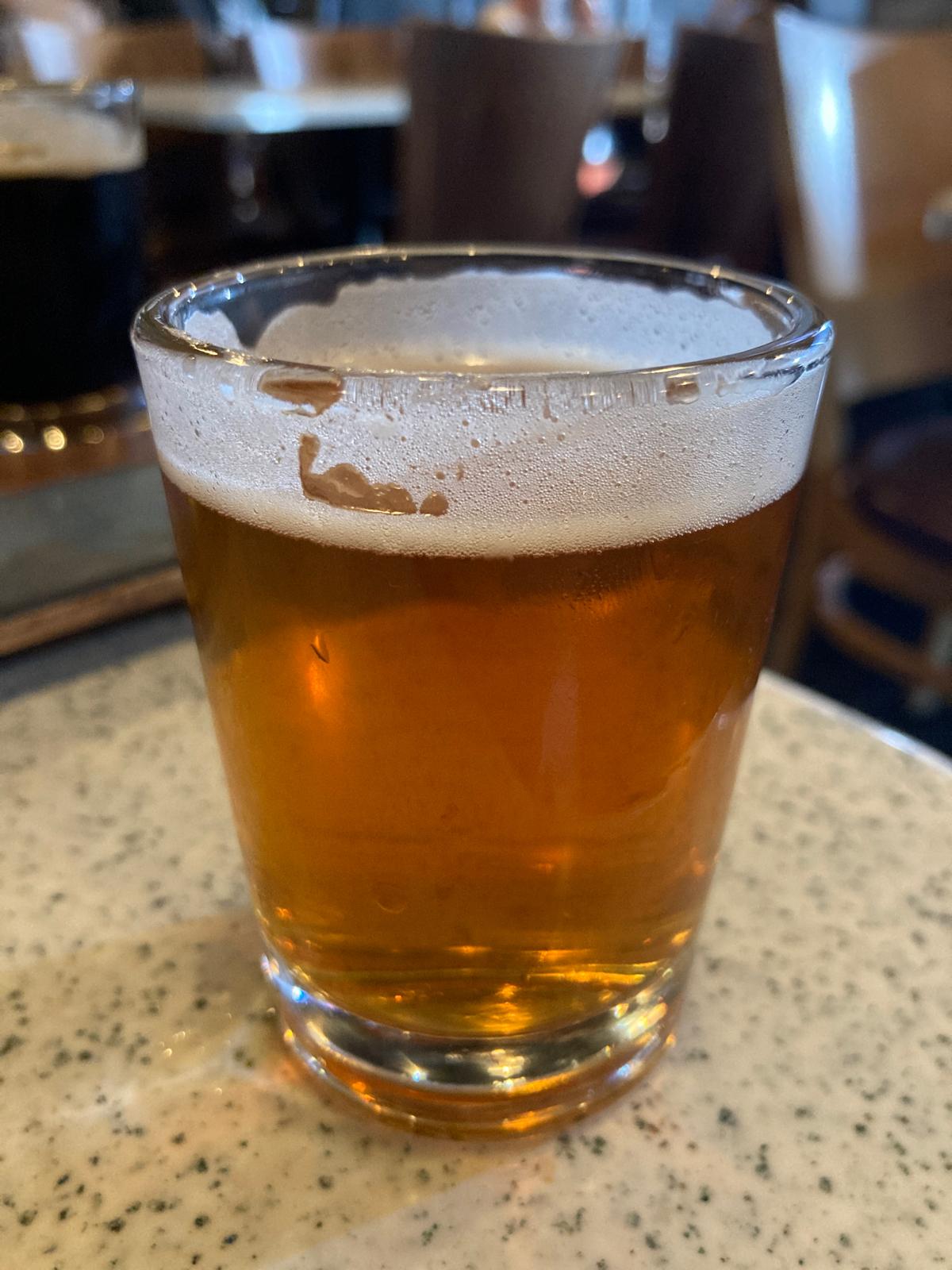 Torrey Pines IPA