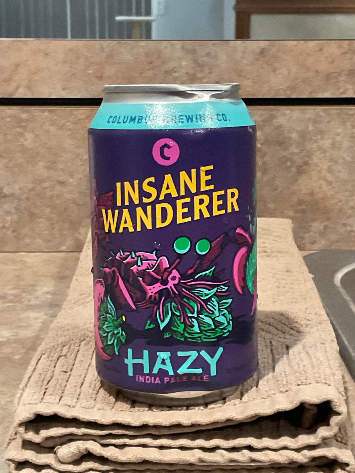 Insane Wanderer Volume 6