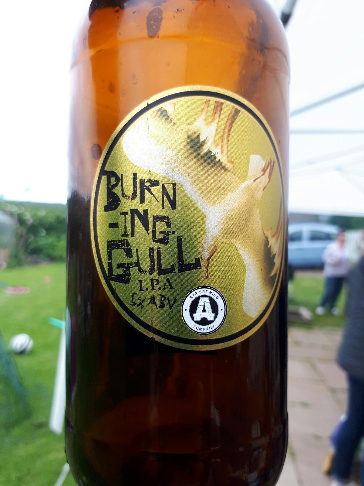 Burning Gull