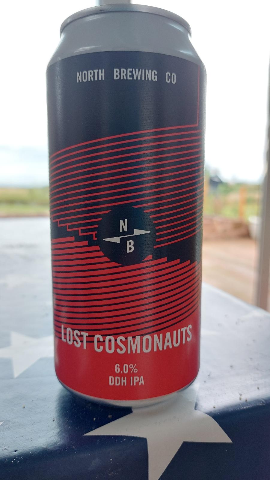 Lost Cosmonauts