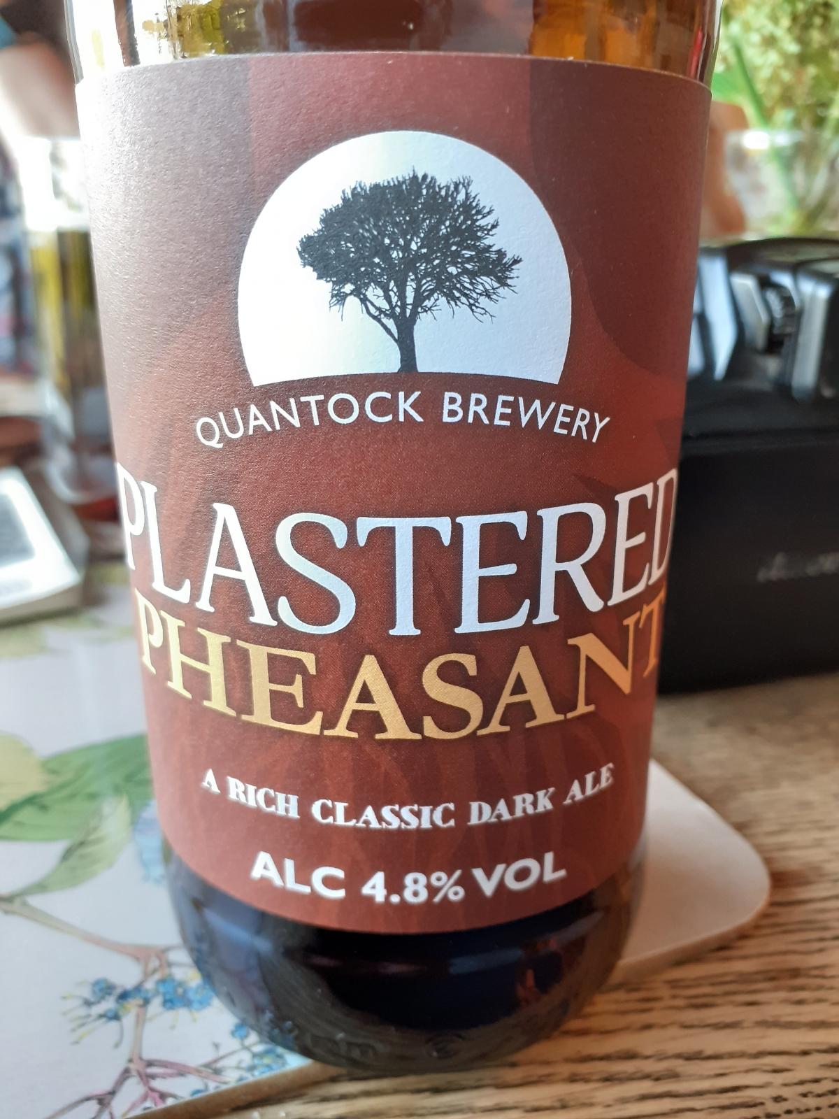 Plastered Pheasant
