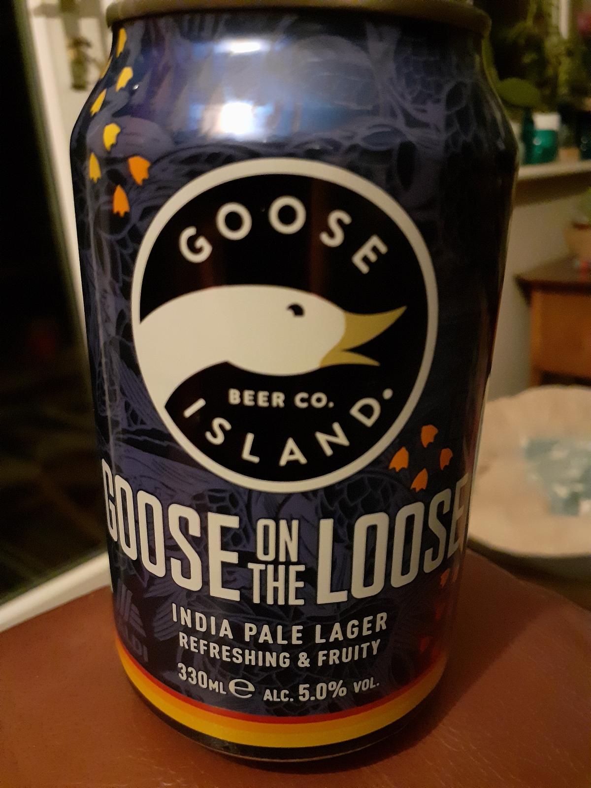 Goose On The Loose