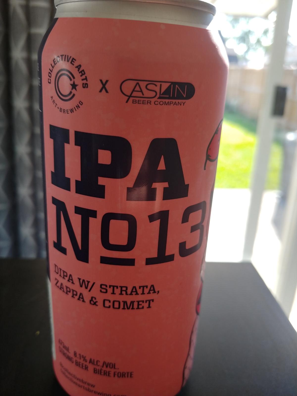 Collective Project: IPA No. 13
