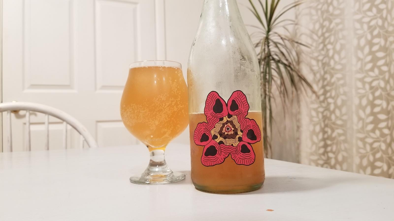 Frequency Illusion - Heirloom Cider