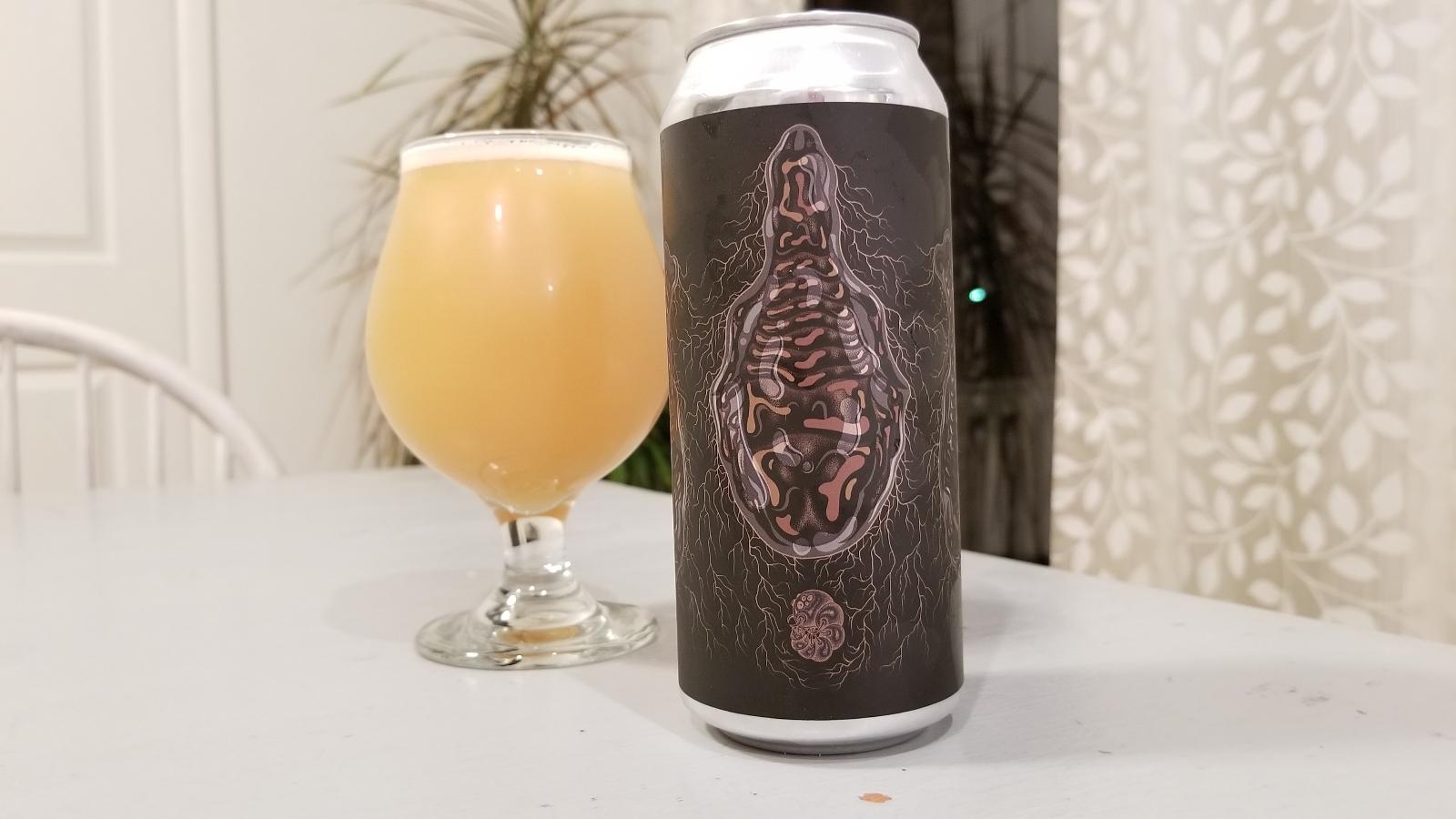 Metamorphosis: PUPA
