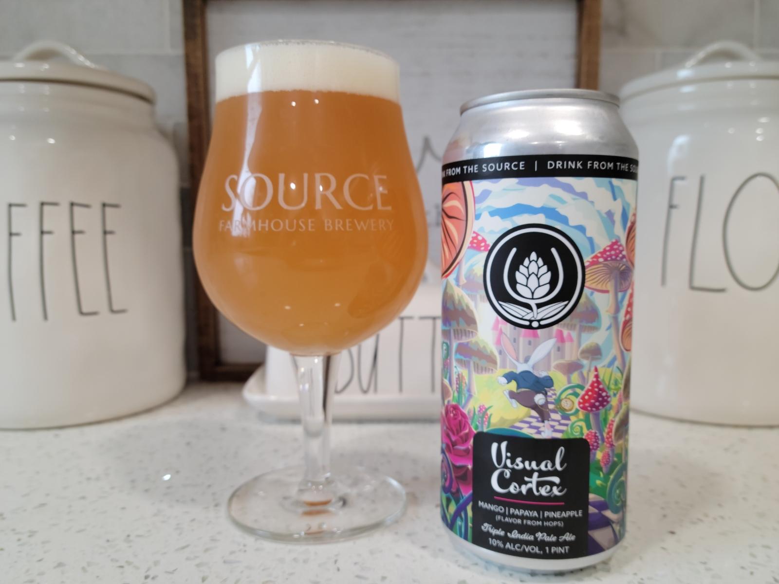 Visual Cortex - Mango, Papaya, Pineapple
