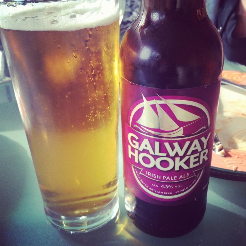 Galway Irish Pale Ale BrewGene