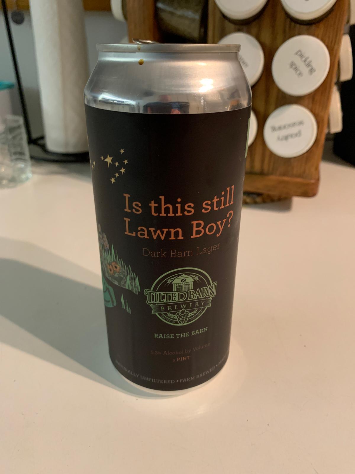 Is This Still Lawn Boy?