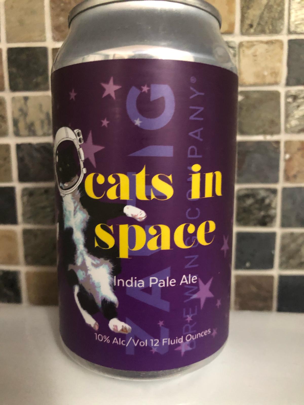 Cats In Space