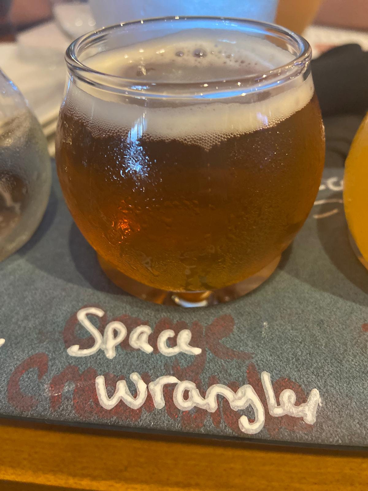 Space Wrangler