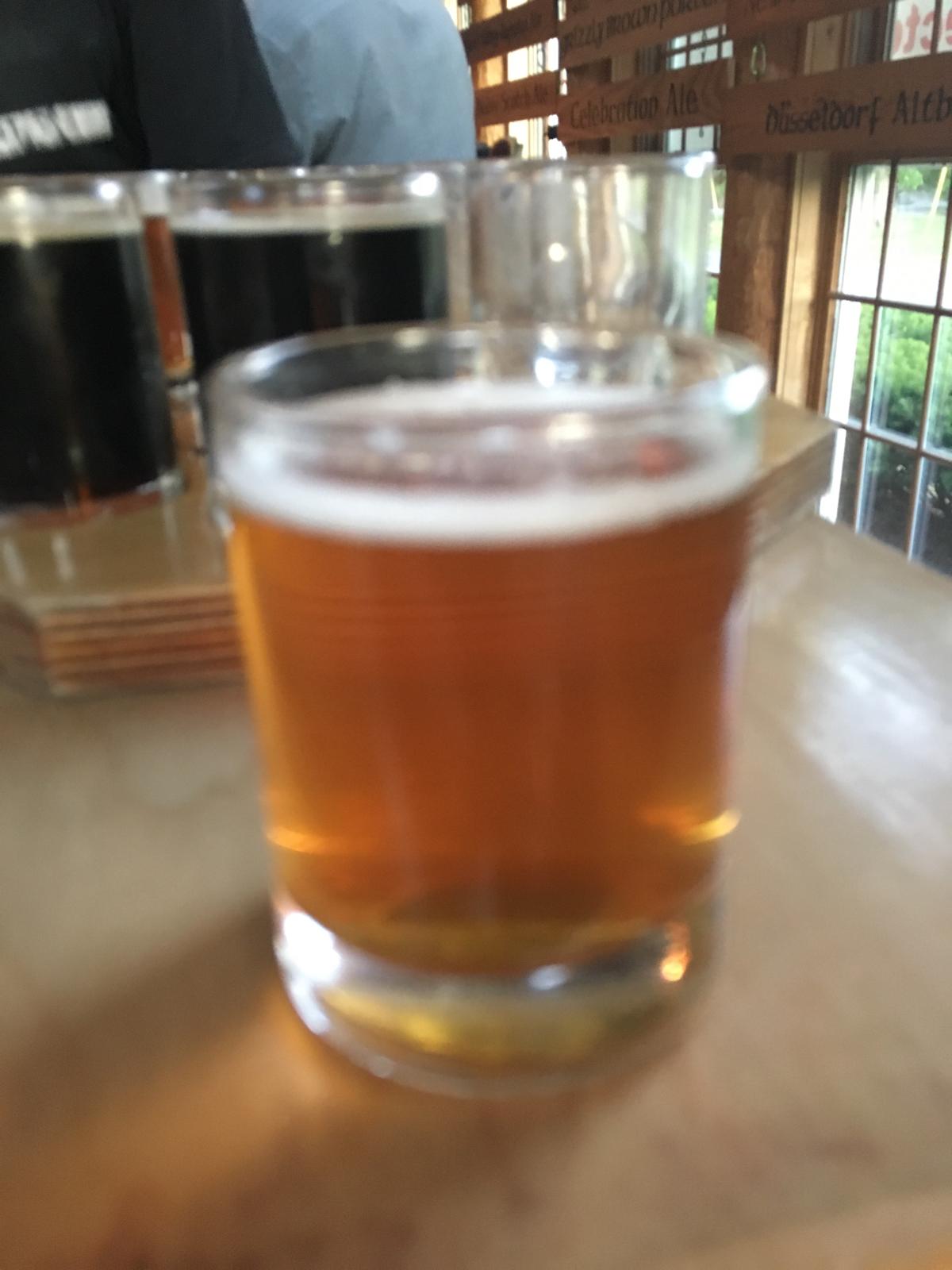 Rail Trail Pale Ale