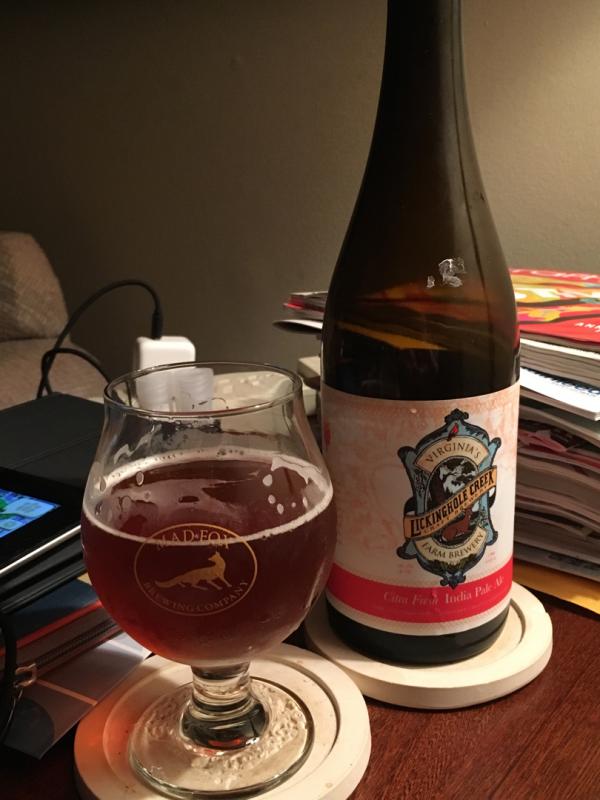 Citra Fresh India Pale Ale