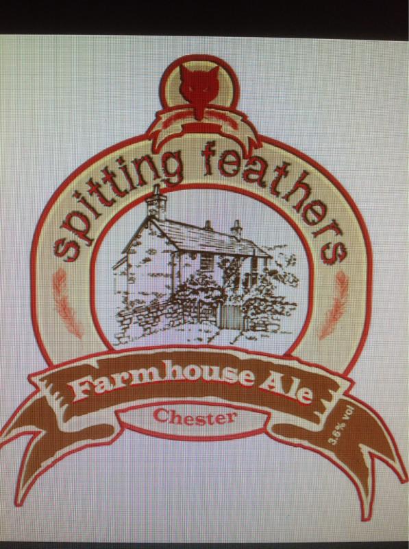 Farmhouse Ale