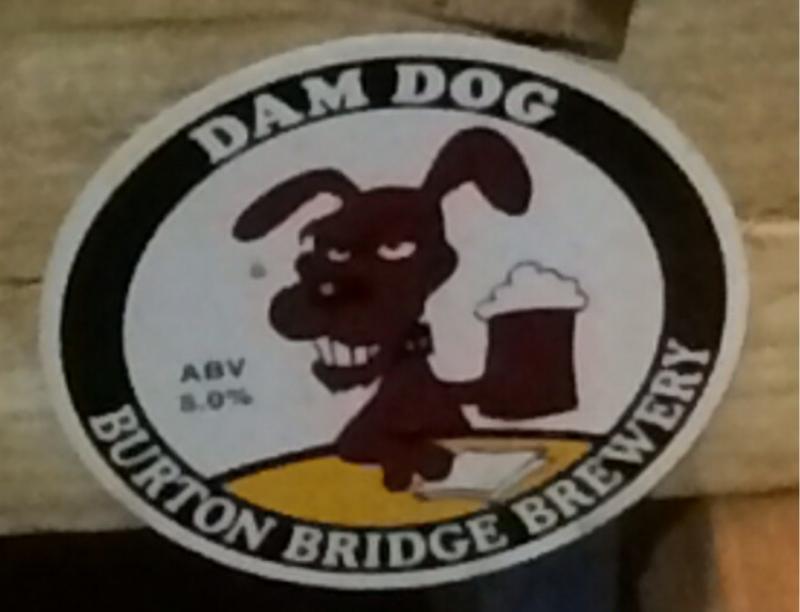 Dam Dog