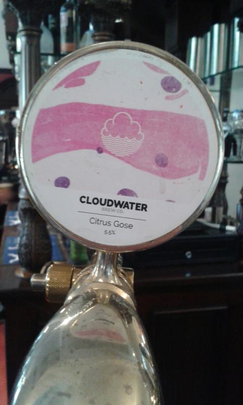 Citrus Gose