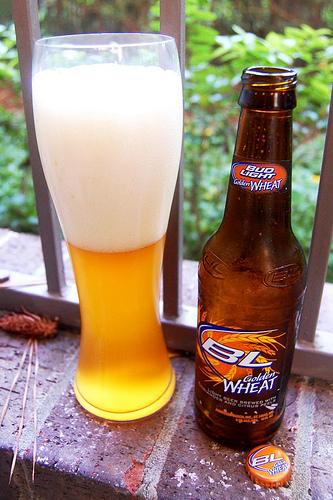 Bud Light Golden Wheat