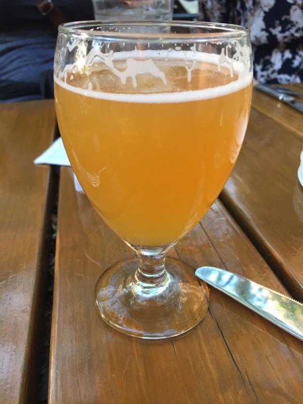 Bivalve Saison