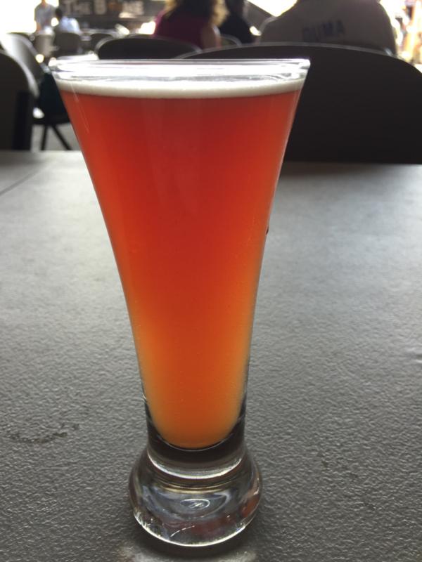 Raspberry Sumerduck Saison