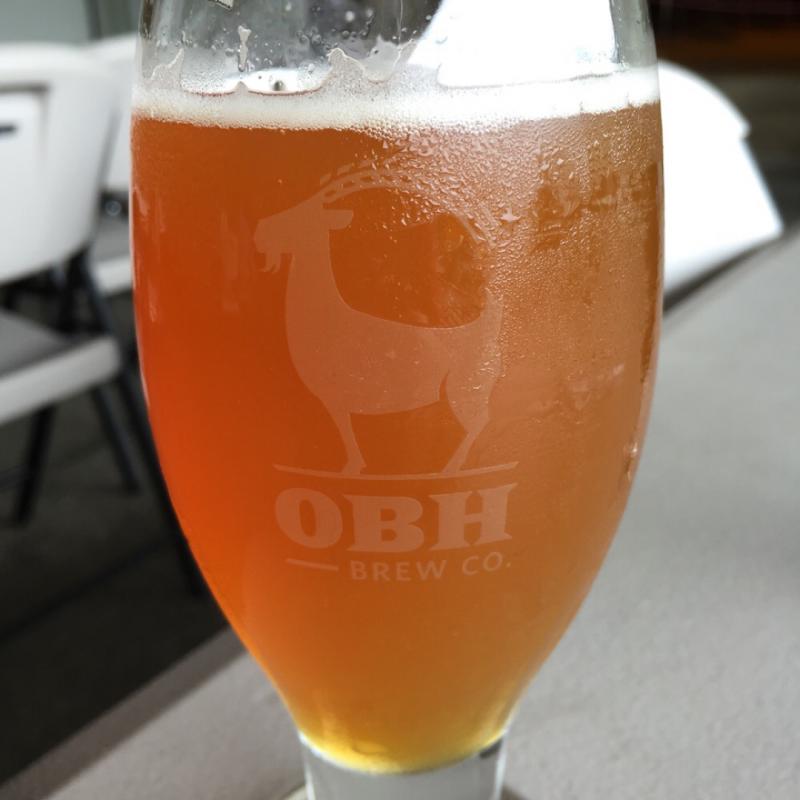 Wildcat IPA with Apricot