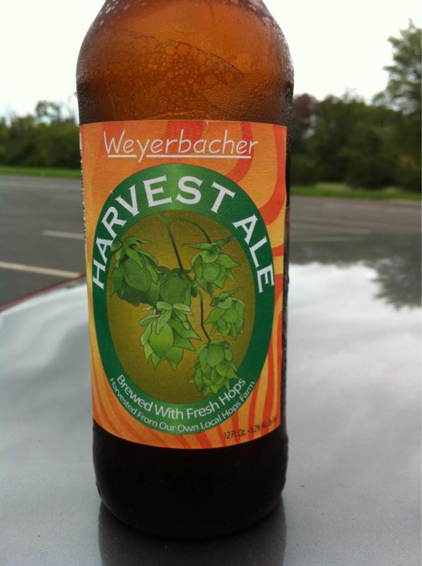 Harvest Ale