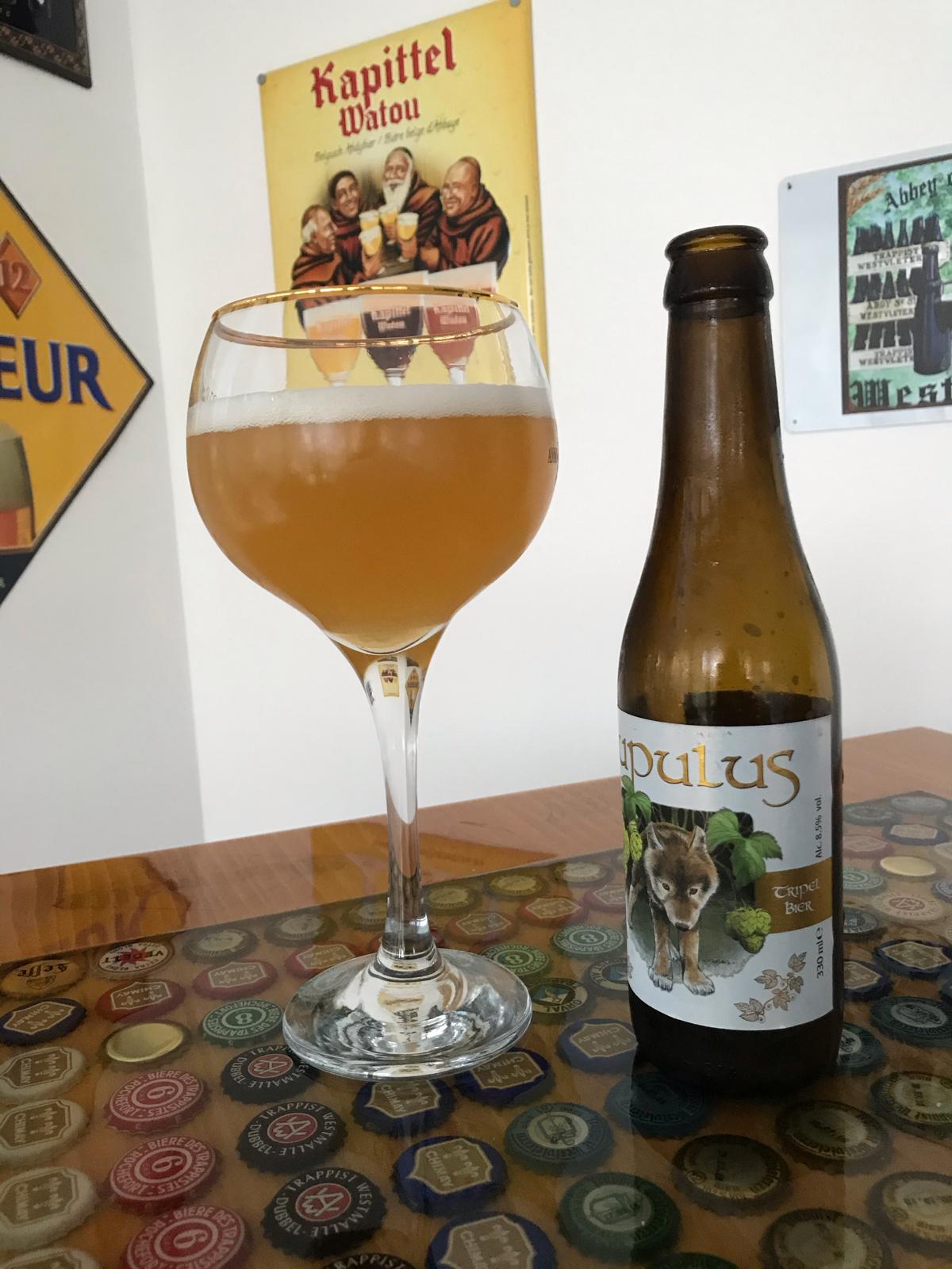Lupulus Blonde Tripel 