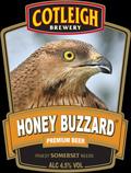 Honey Buzzard