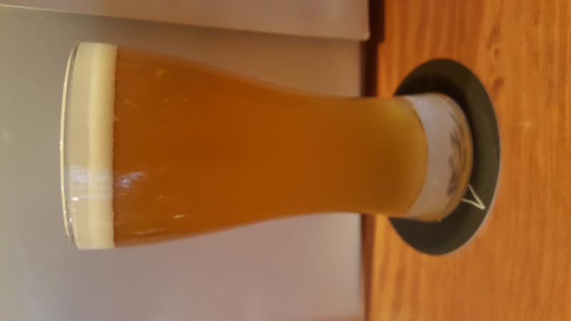 Fujizakura Heights Draft II Wheat Ale