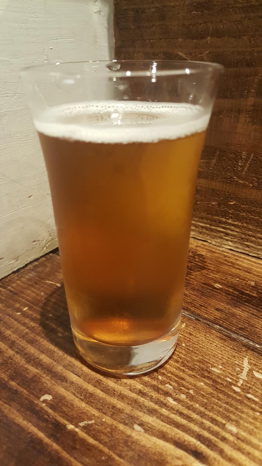 Shonan Beer IPA Citra