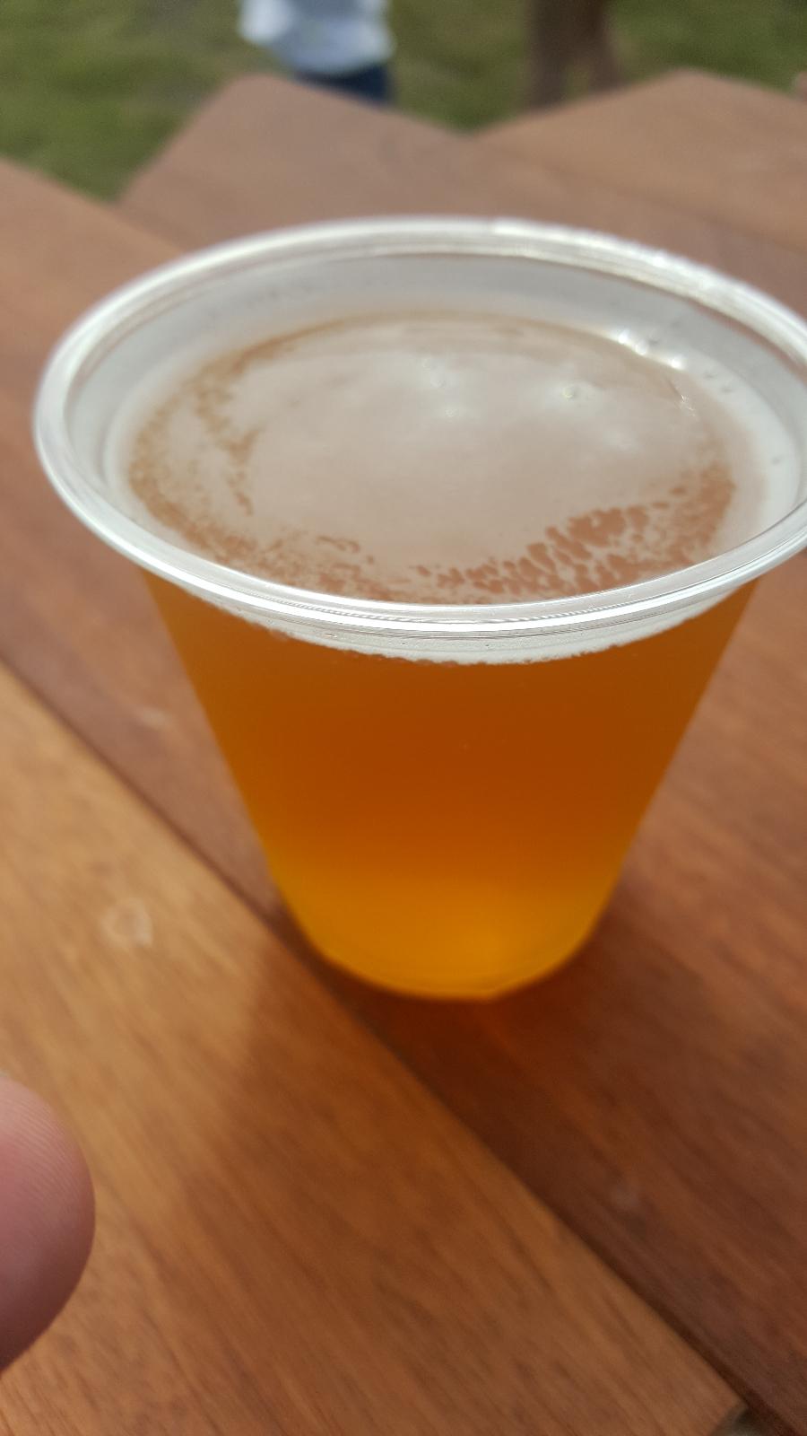 Titanium IPA