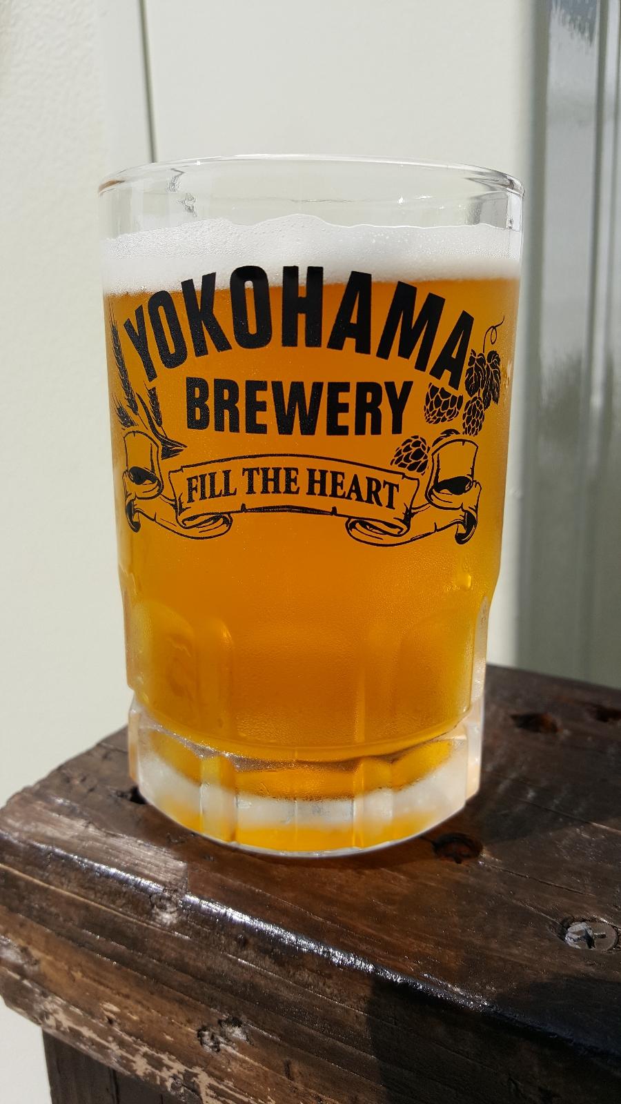 Fest IPA