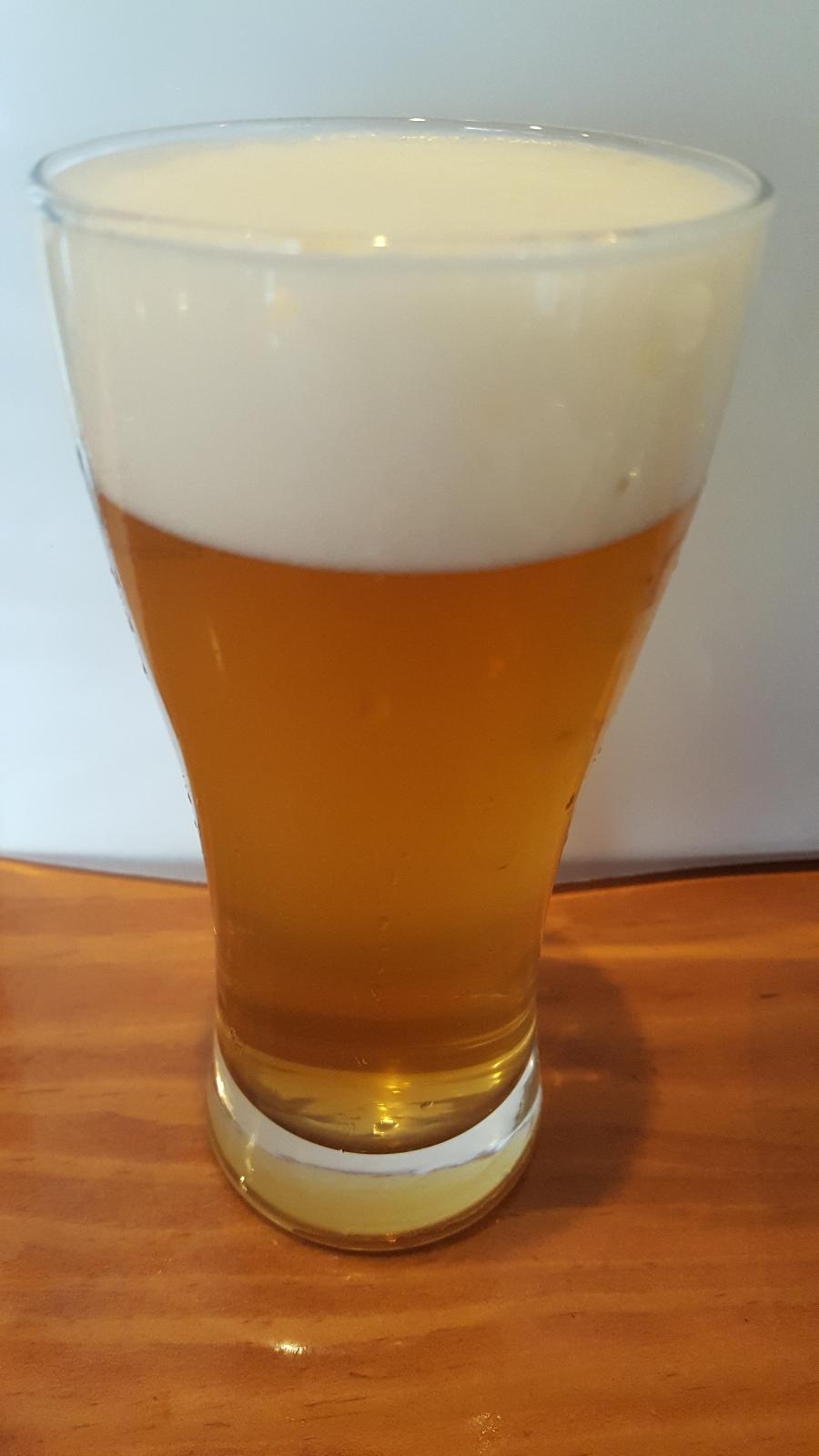 Shonan Beer IPA American Style