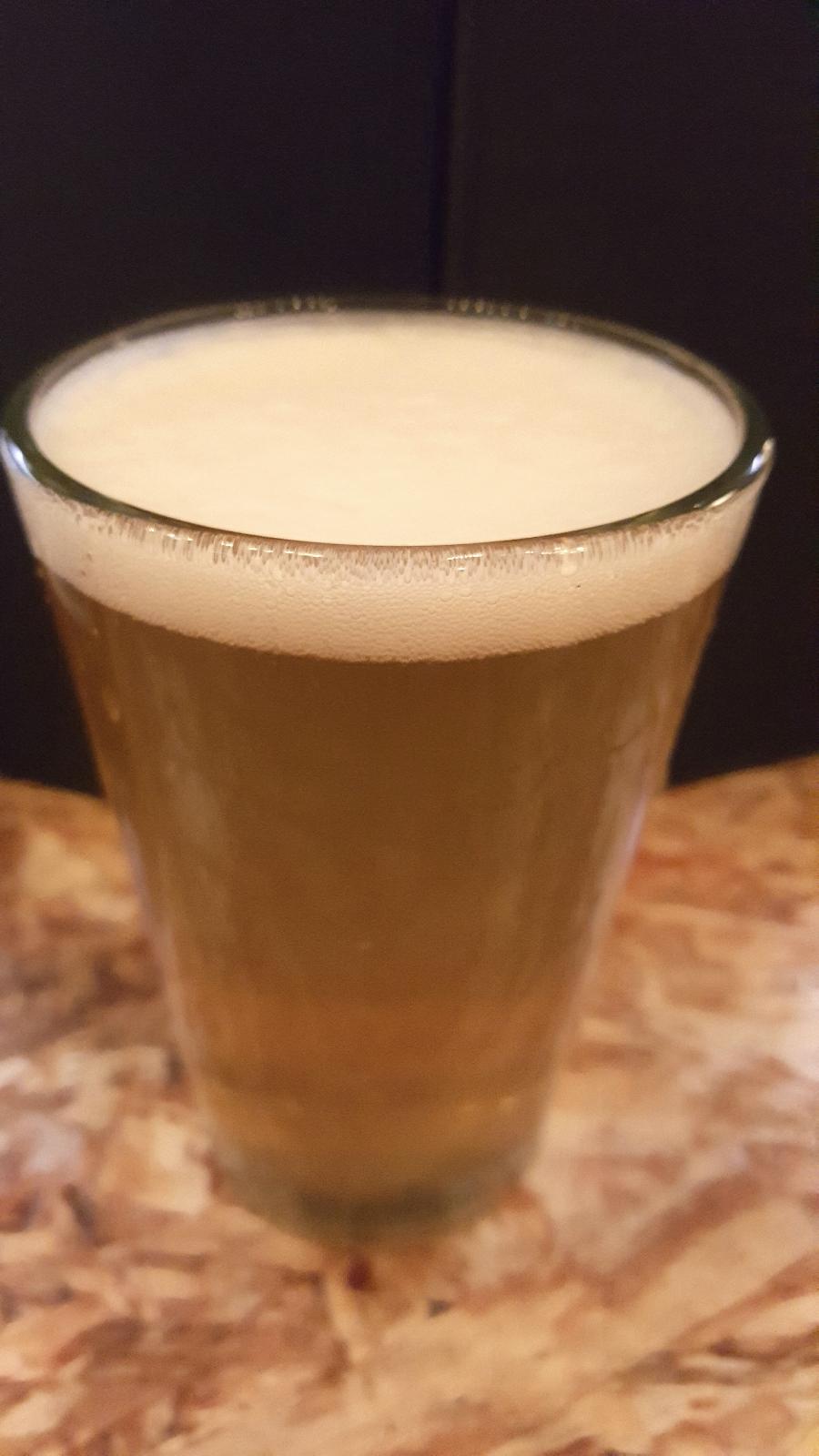 Shonan Beer Yuzu Saison