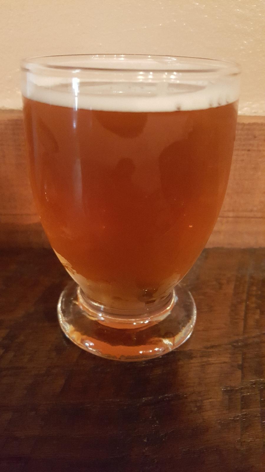 Belma Single Hop IPA