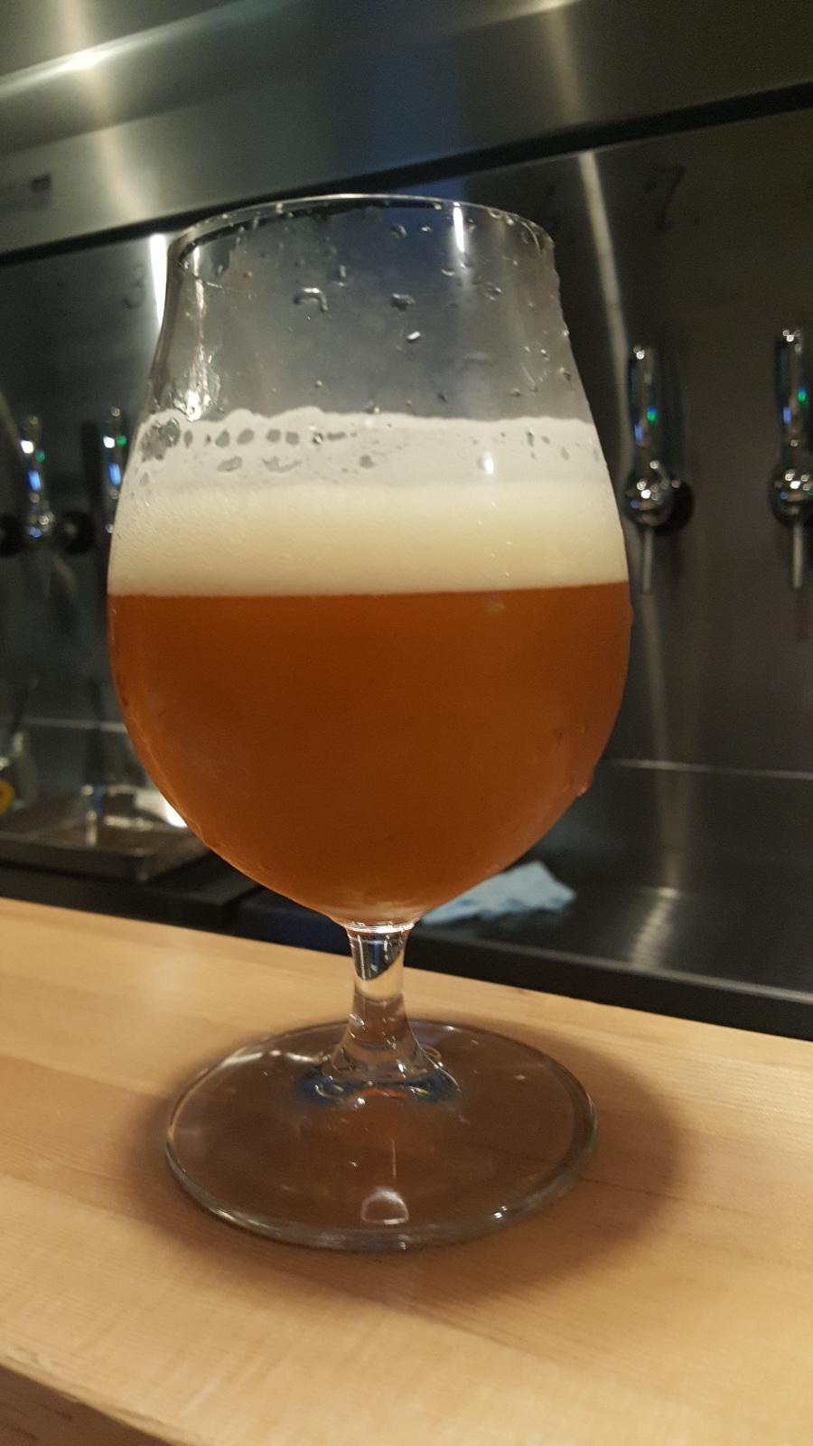 Ise Kadoya Hybrid IPA