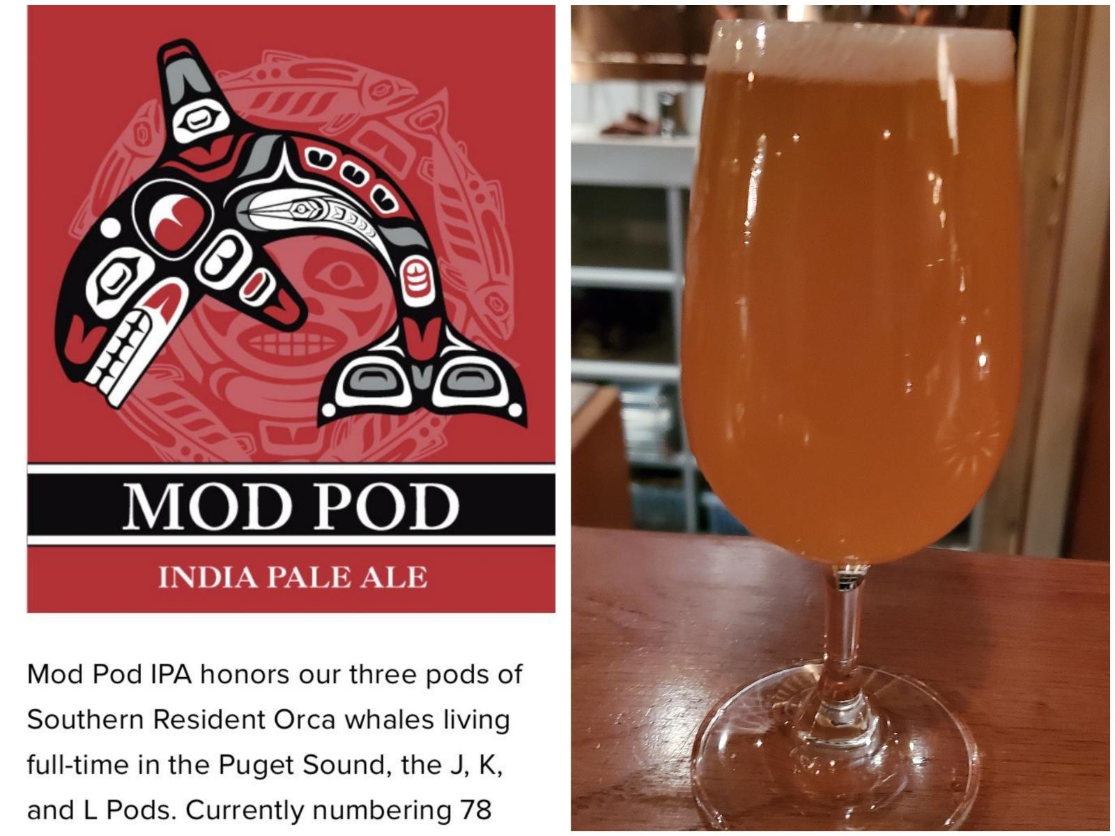 Mod Pod IPA