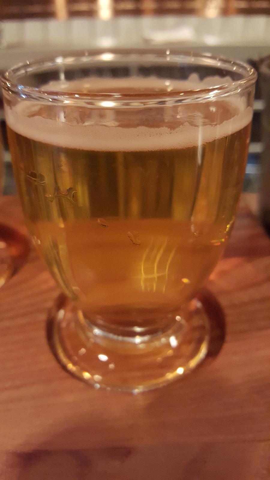 Wind IPA