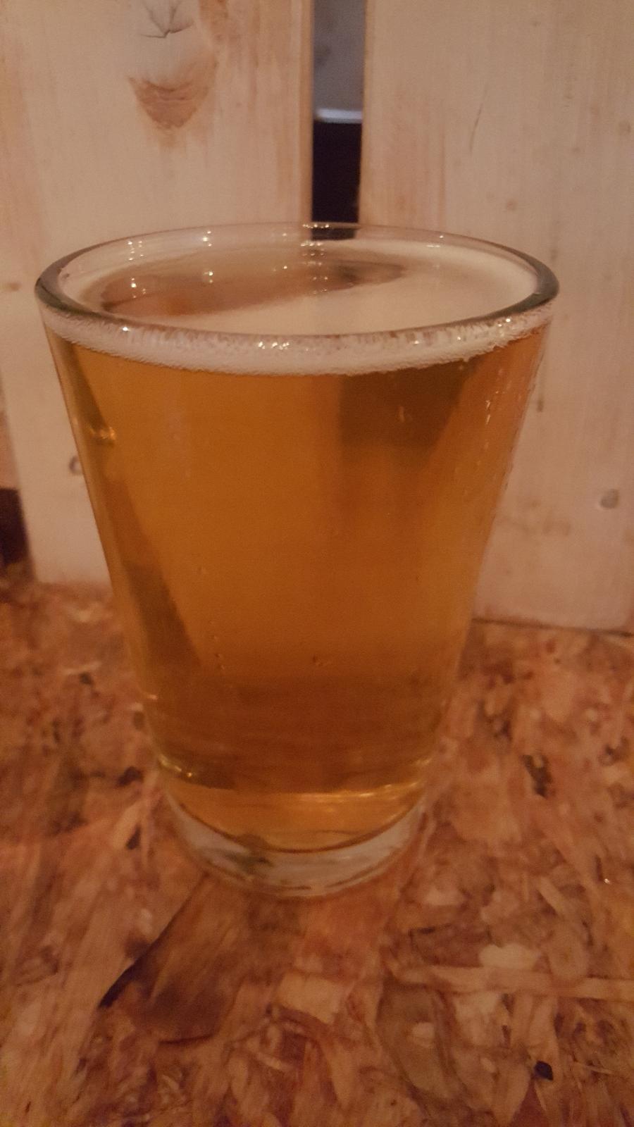 Experimental India Pale Ale (2019)