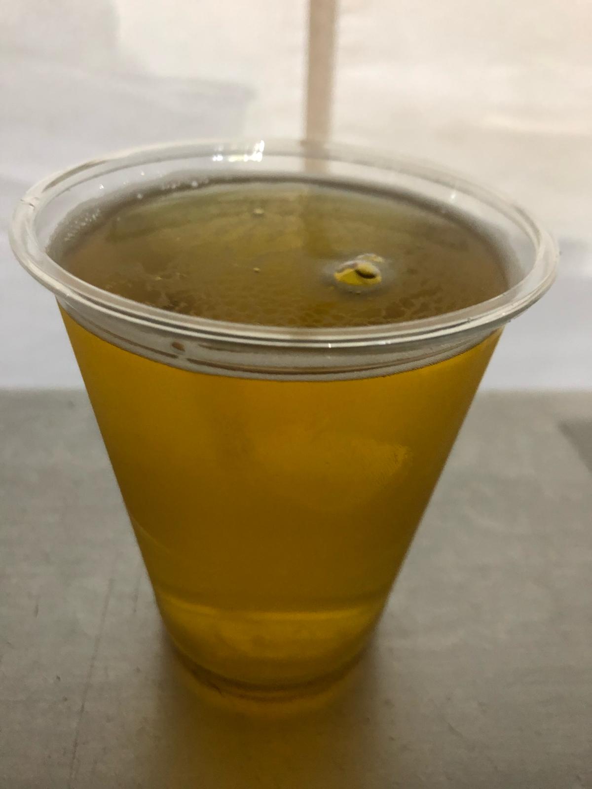 Techno Pils